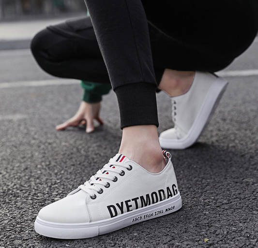 Men's Spring Canvas Shoes