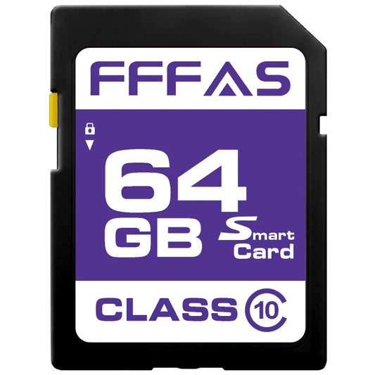 High-Speed Class 10 SD Cards