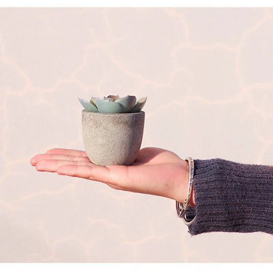 Mini bonsaï artificiel d'aloès - Petite plante décorative en pot