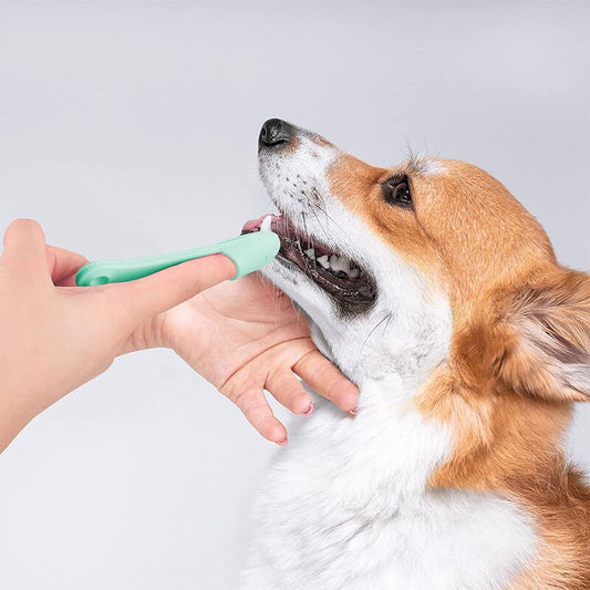 Zahnpflegeset für Haustiere – Bürste und Fellpflege