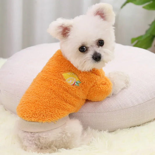 Warm Dog Clothes for Small Dogs - Pet Jacket