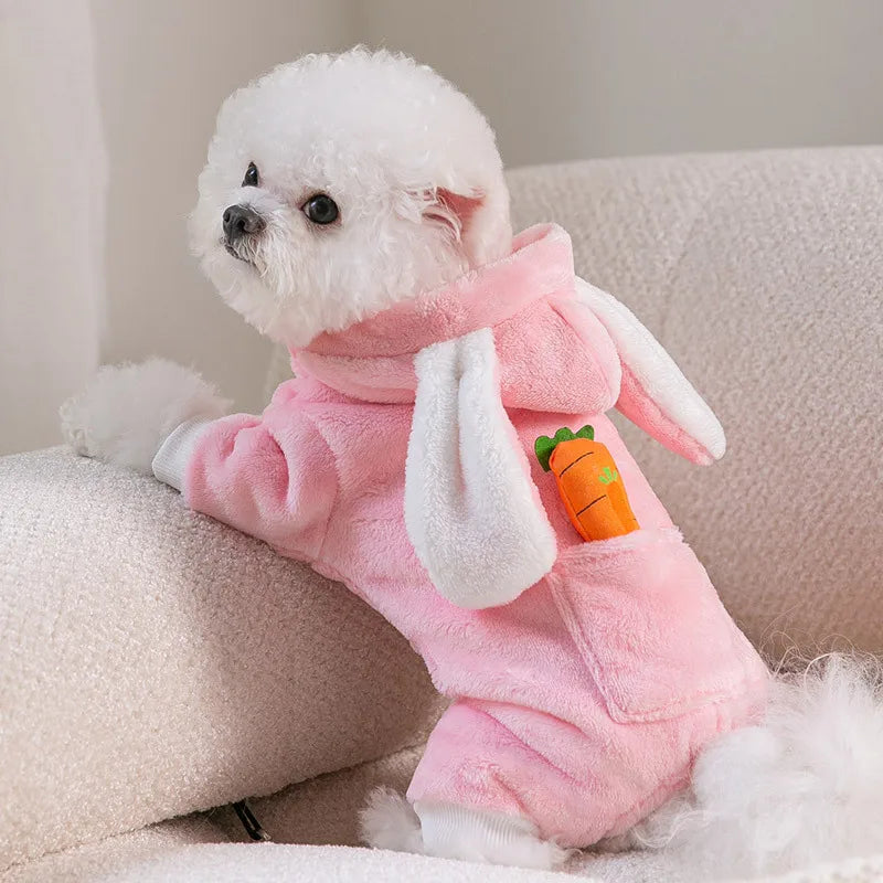 Ensemble couverture et manteau douillet pour chien