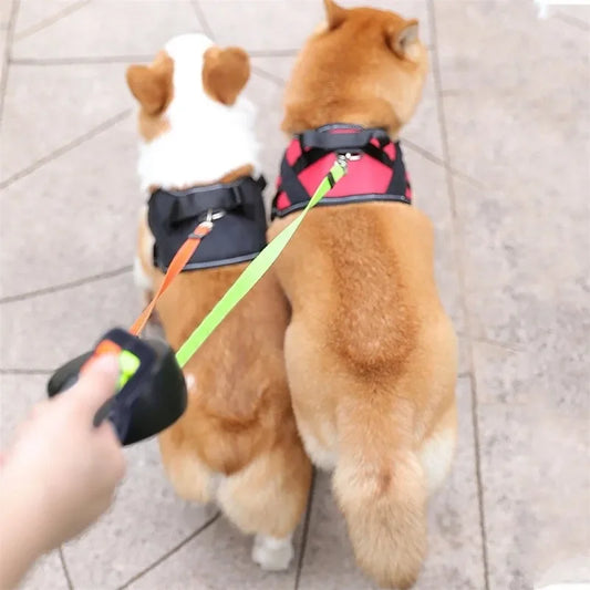 Dual Dog Leash - 2 Dogs, 1 Leash