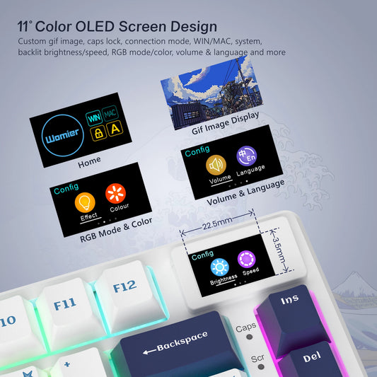 Wired Mechanical Gaming Keyboard- Hot-Swappable RGB Backlit for PC & Laptop