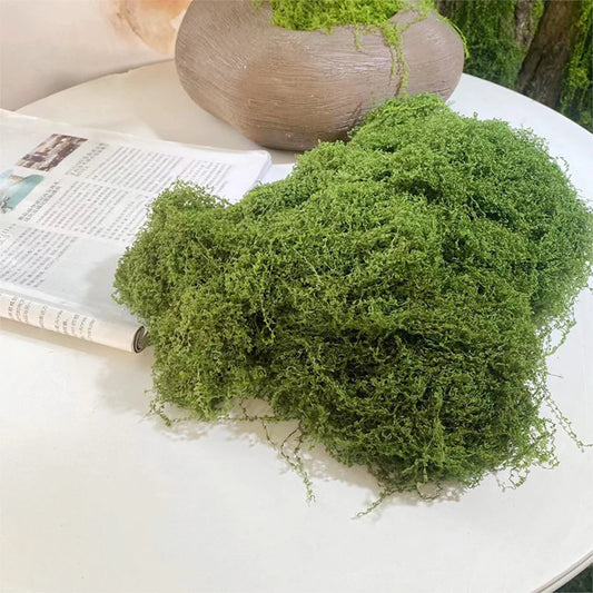 50g Artificial Moss for DIY Crafts - Faux Greenery for Home
