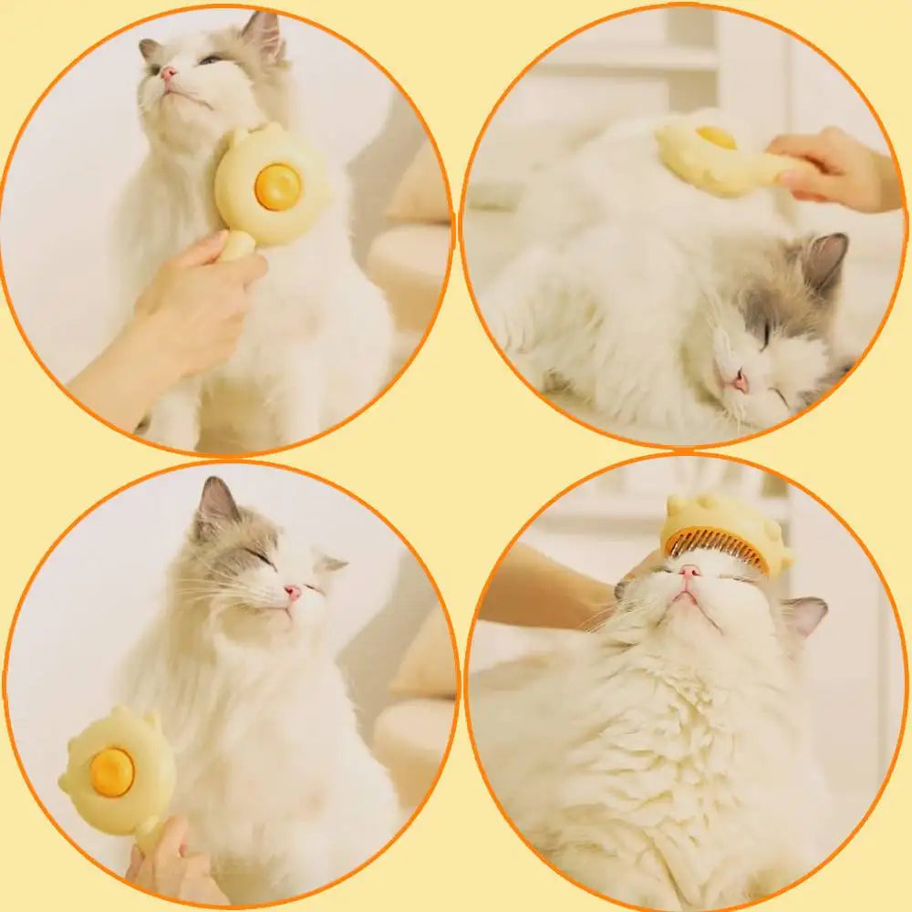 Pet Hair Removal Cleaning + Nail Trimmer & Nail Trimmer Set