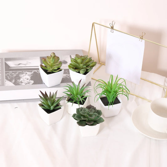 Simulated Succulent Pot Plants for Home Decoration