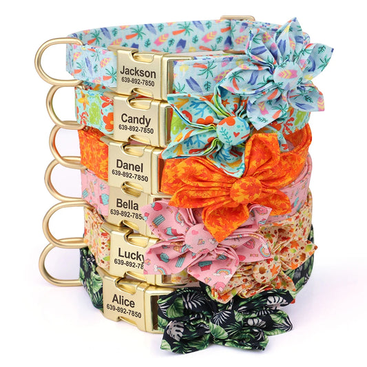 Personalisiertes modisches Hundehalsband