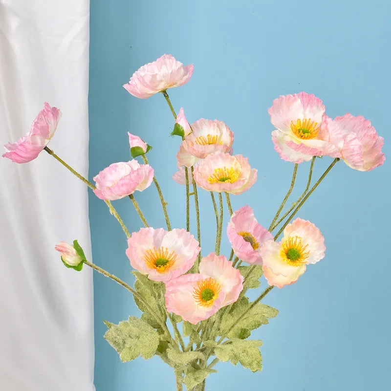 Mohn-Seidenblumen – langer Stiel für Zuhause