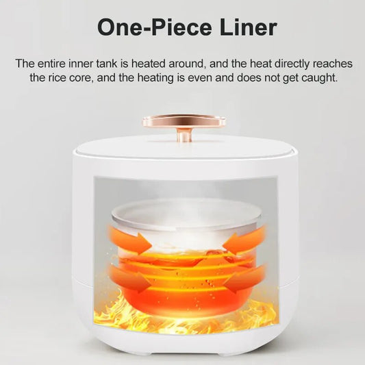 Cuiseurs à riz électriques