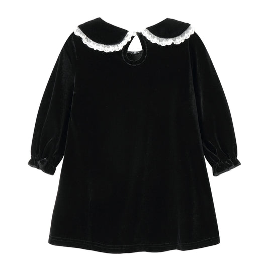Lace Velvet Peter Pan Collar Dress