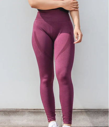 High Waist Yoga Pants