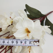 Elegant Magnolia & Freesia Wedding Décor