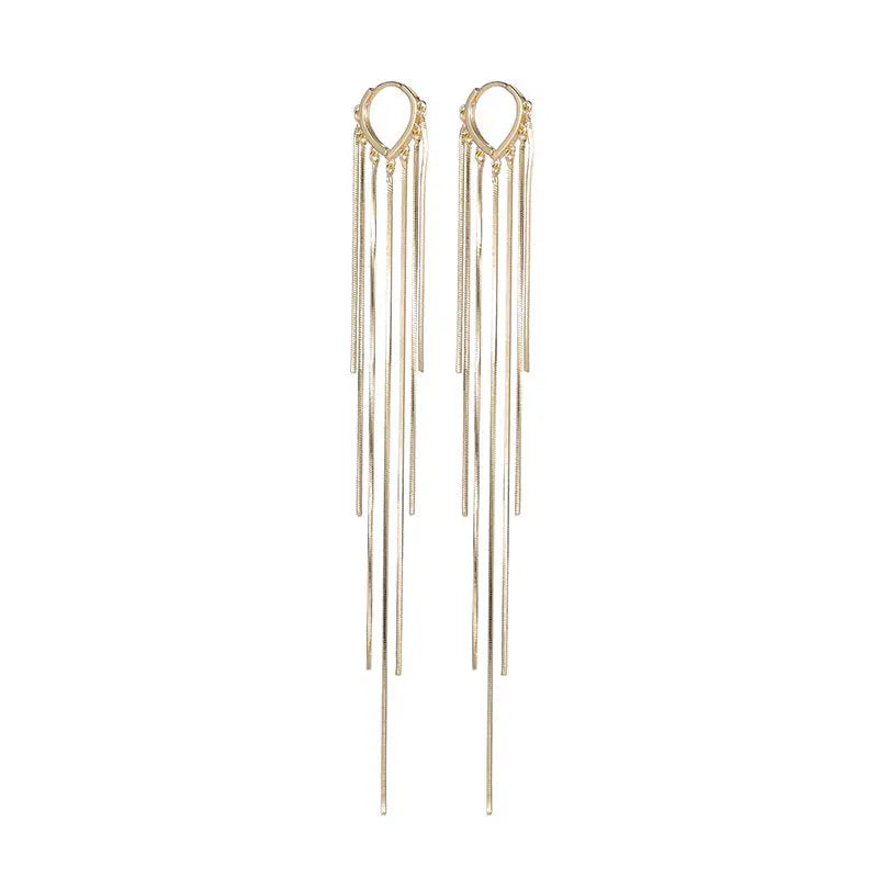 Simple Fashionable Long Tassel Earrings Women