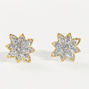 Two-tone Gold-plated Zircon Inlaid Earrings For Women
