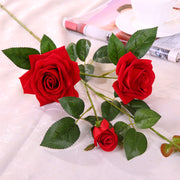Eternal Beauty - Artificial Rose Flower