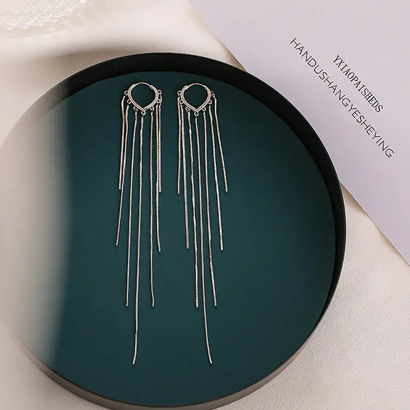 Simple Fashionable Long Tassel Earrings Women