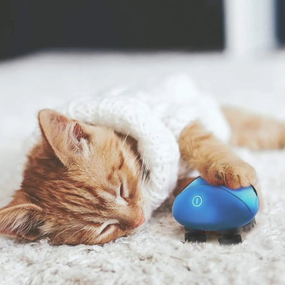 wireless scalp massager, mini blue scalp massager, head relaxation device, portable scalp massager, scalp massage tool, stress relief massager, handheld scalp massager, head massager for relaxation, blue wireless head massager, mini scalp relaxation device