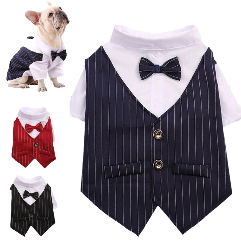 Charming Dog Tuxedo Suit