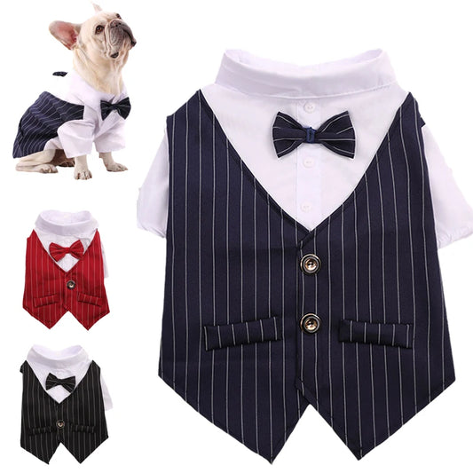 Charming Dog Tuxedo Suit