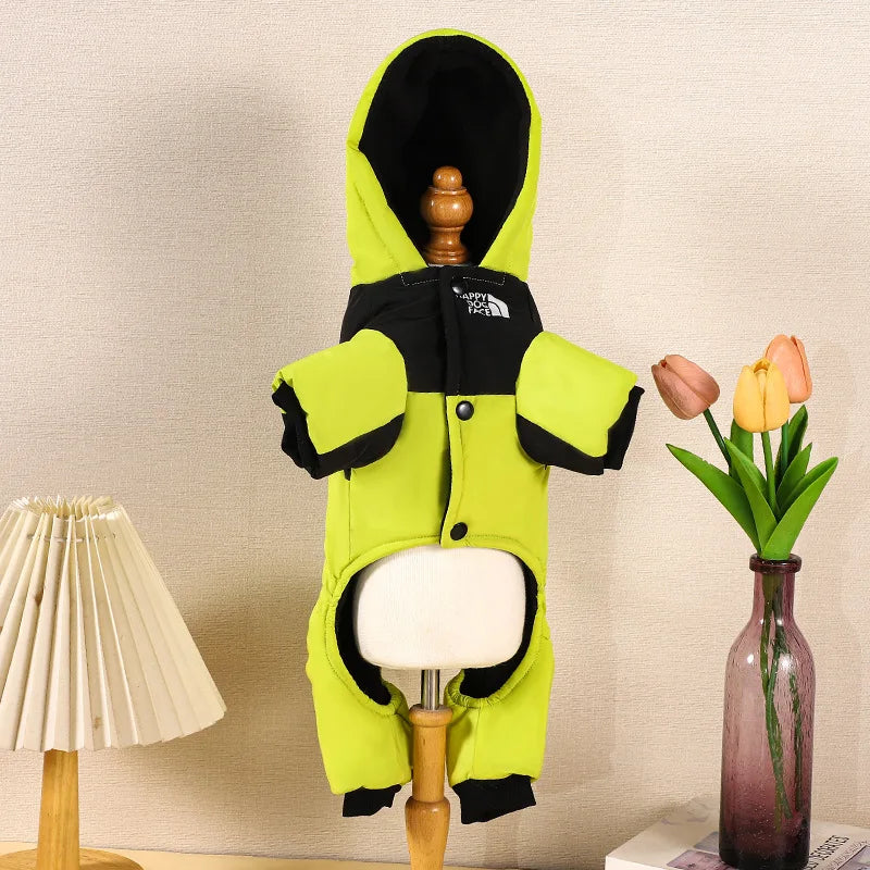 Dog Clothes for Winter