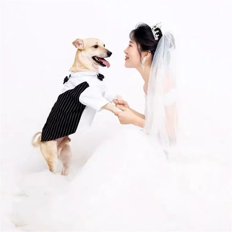 Dog Tuxedo Suit