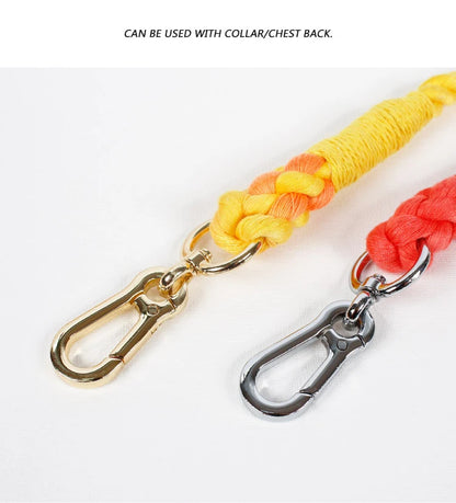 Gradient Color Nylon Dog Leash & Harness Set for Stylish Pet