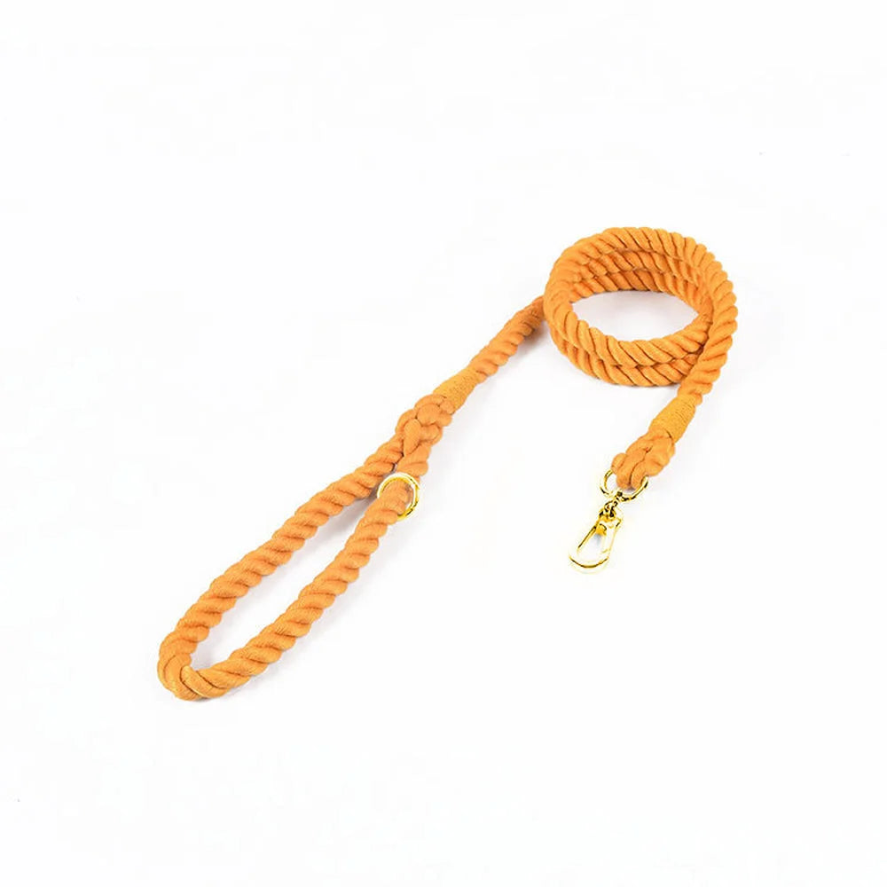 Gradient Color Nylon Dog Leash & Harness Set for Stylish Pet