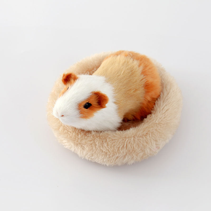 Cozy Hamster Bed & Accessories Set