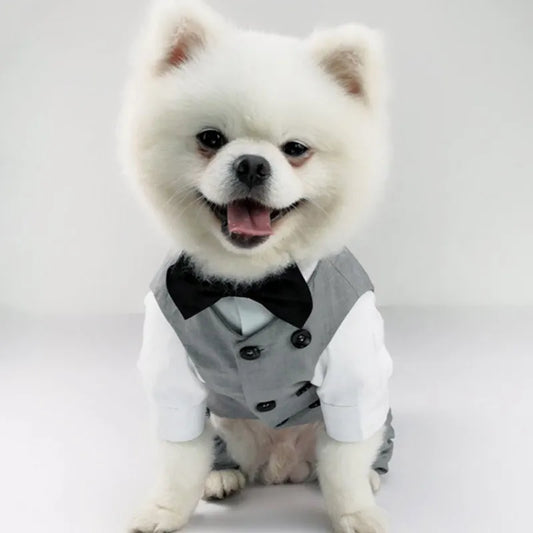 dog tuxedo, dog suit, dog wedding outfit, dog clothes, dog sweater, dog vest