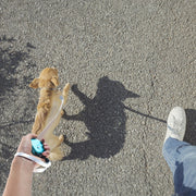 Mini Retractable Dog Leash - Easy Pet Walks