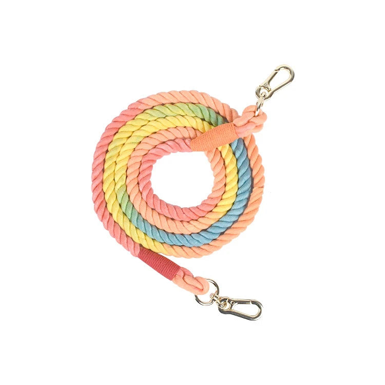 Gradient Color Nylon Dog Leash & Harness Set for Stylish Pet