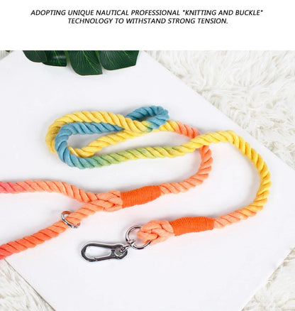 Gradient Color Nylon Dog Leash & Harness Set for Stylish Pet