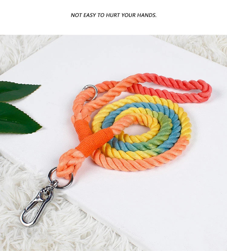 Gradient Color Nylon Dog Leash & Harness Set for Stylish Pet