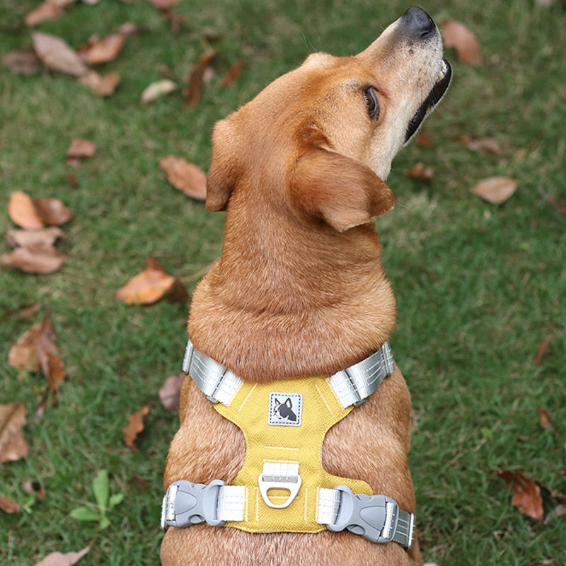 Reflective No-Pull Dog Harness - Training & Safety