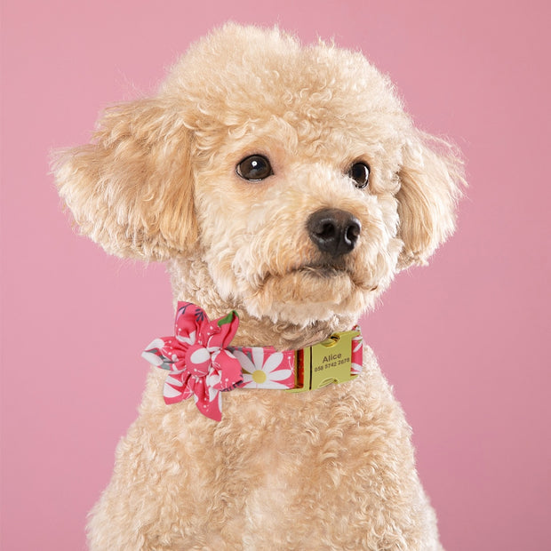 Personalized Fashion Dog Collar - Custom Nylon Pet Collar