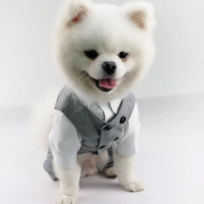 dog tuxedo, dog suit, dog wedding outfit, dog clothes, dog sweater, dog vest