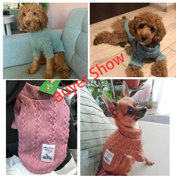 Winter Warm Dachshund Sweater  for Dogs & Cats