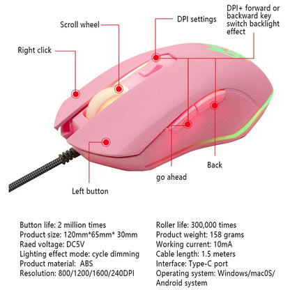 Colorful Glowing USB-C Gaming Mouse