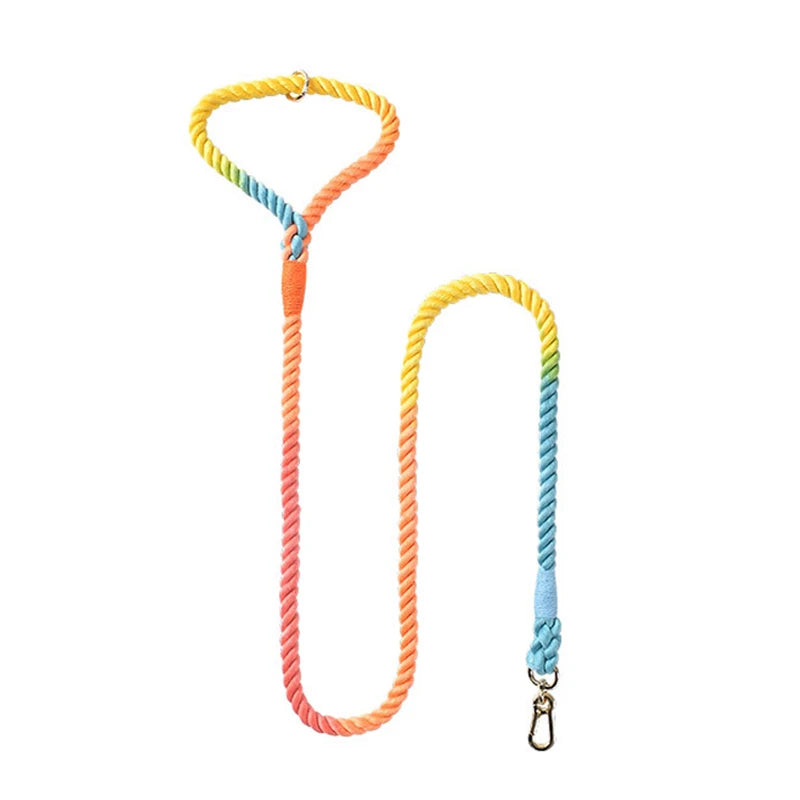 Gradient Color Nylon Dog Leash & Harness Set for Stylish Pet