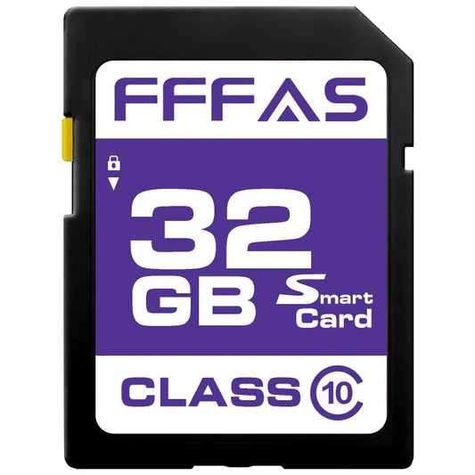 High-Speed Class 10 SD Cards
