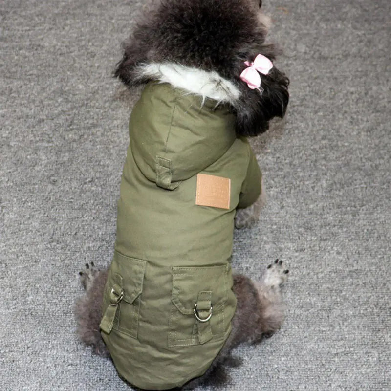 Vêtements chauds pour chiens pour l’hiver