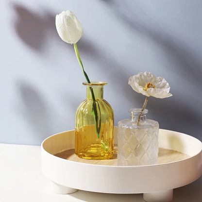 Transparent Glass Vase Desktop Flower Holder Decoration