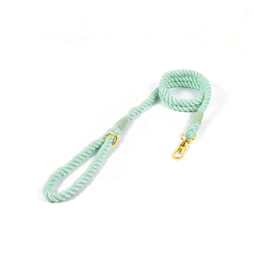 Gradient Color Nylon Dog Leash & Harness Set for Stylish Pet