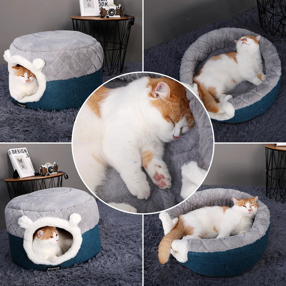 pet bed 