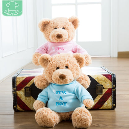 Baby's First Teddy Bear