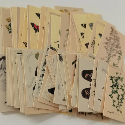 100 Stück doppelseitige Notizblöcke mit Vintage-Pflanzen und Schmetterlingen für Scrapbooking und Tagebücher.