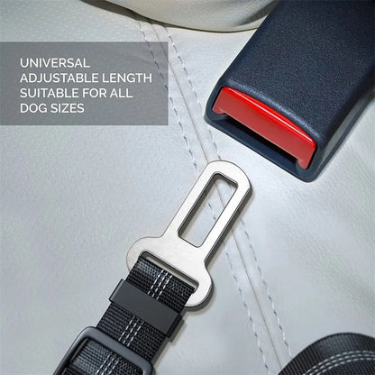 Reflective Dog Seat Belt & Leash Combo