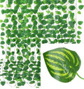Watermelon leaves