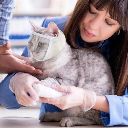 Transparentes Bade- und Nagelknipser-Zubehör für Katzen